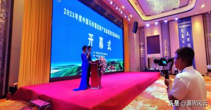 1693193156421064.jpg 1.webp.jpg