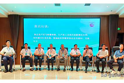 1753412874846697.png 4.png